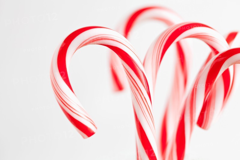 Red and white candy canes, studio shot. Photo : Sarah M. Golonka