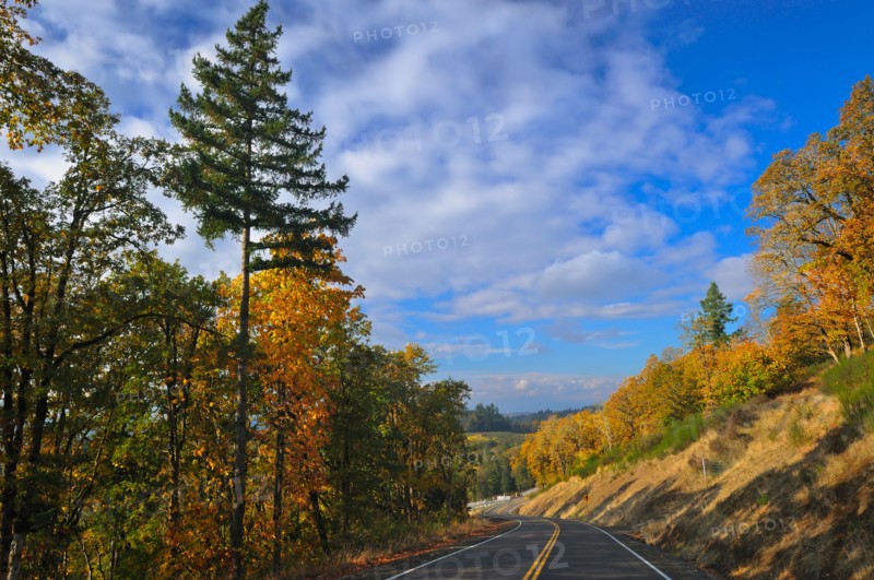 USA, Oregon, Polk County, Country road. Photo : Gary Weathers