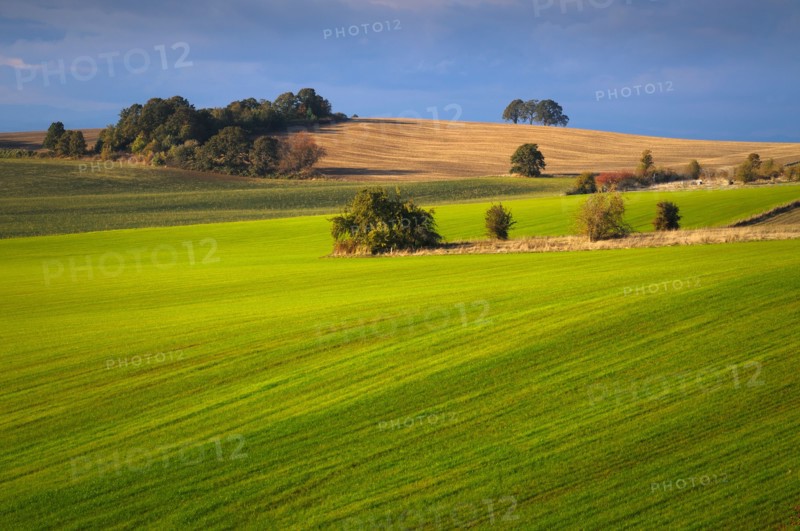 USA, Oregon, Polk County, View of green hills. Photo : Gary Weathers