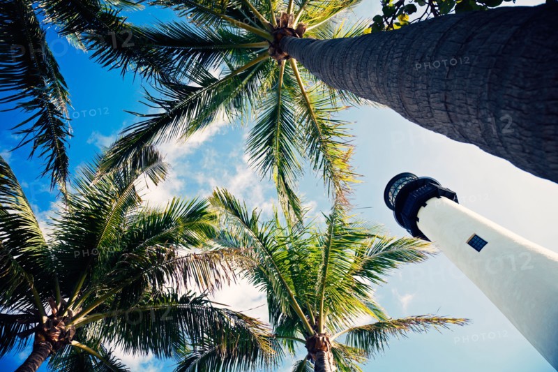 USA, Florida, Key Biscayne, Lighthouse with palm trees. Photo : Henryk Sadura