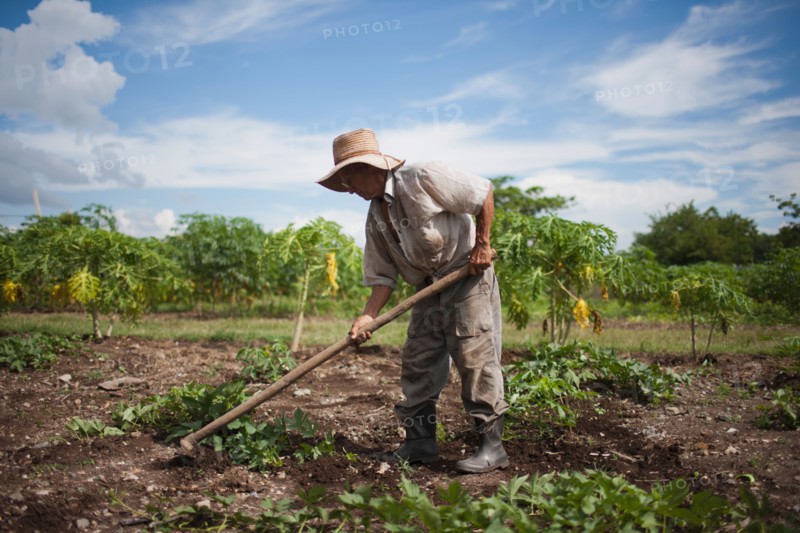 Cuba, Las Tunas, Farmer digging in field. Photo : Mark de Leeuw