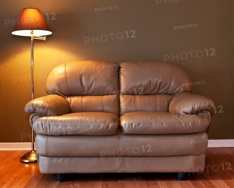 Leather sofa and floor lamp. Photo : Elena Elisseeva