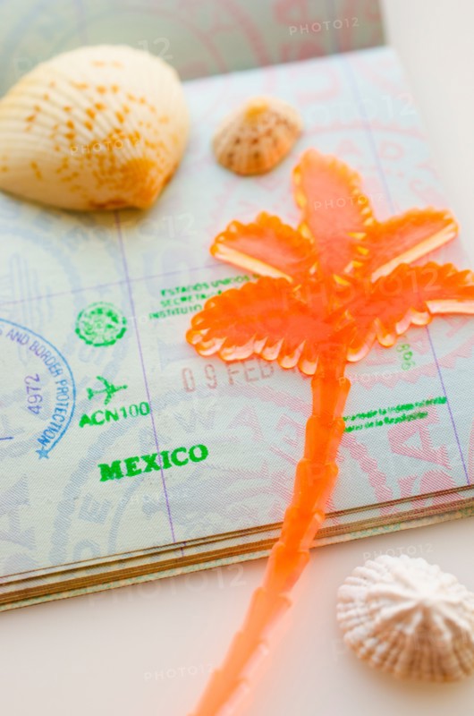 Passport with plastic palm.