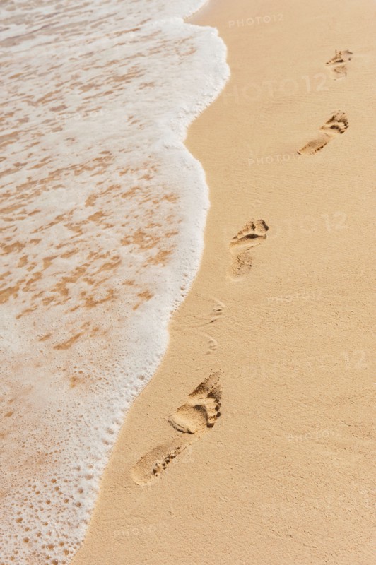 Mexico, Yucatan. Footprints on beach.