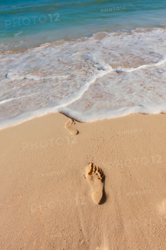Mexico, Yucatan. Footprints on beach.
