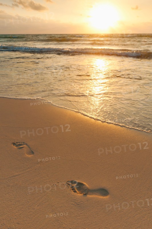 Mexico, Yucatan. Footprints on beach at sunset.