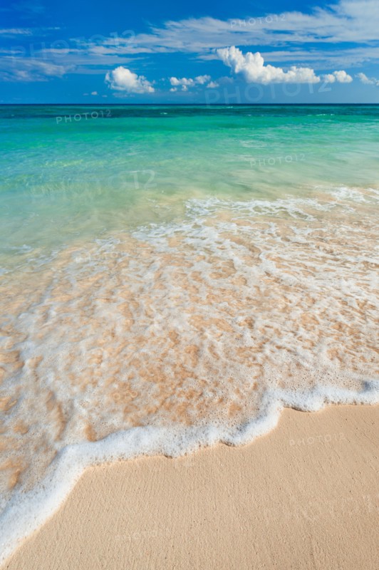 Mexico, Yucatan. Sandy beach and turquoise sea.
