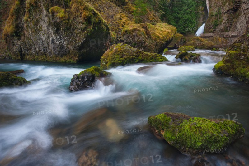 USA, Oregon, Multnomah County. Wachlella Falls on Tanner Creek. Photo : Gary Weathers