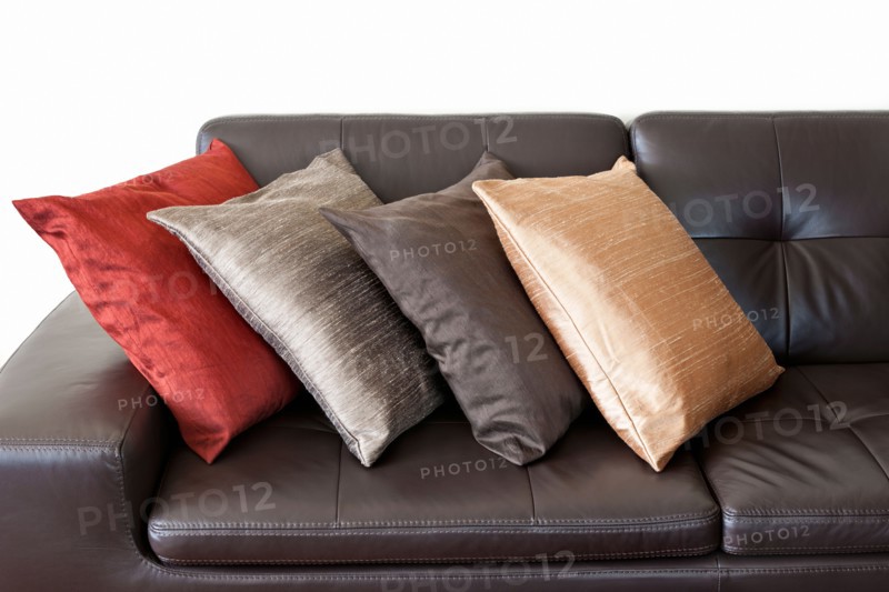 Close-up studio shot of leather sofa and cushions. Photo : Elena Elisseeva