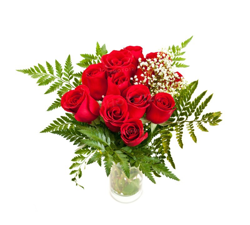 Close-up studio shot of red roses bouquet on white background. Photo : Elena Elisseeva