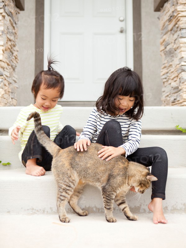 Two sisters (2-3, 4-5) playing with cat. Photo : Jessica Peterson