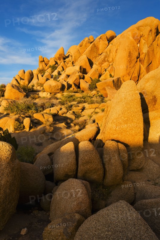 USA, California, Joshua Tree National Park, Rock formations.