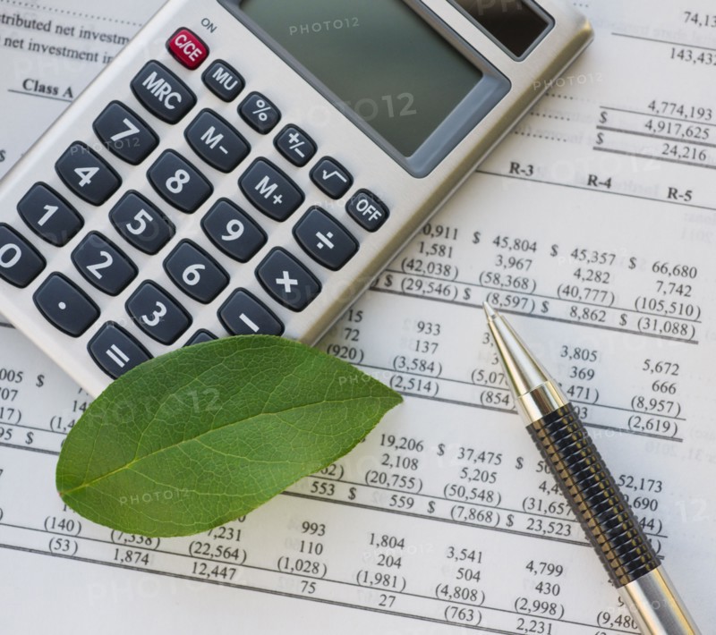 Calculator with spreadsheet and green leaf.