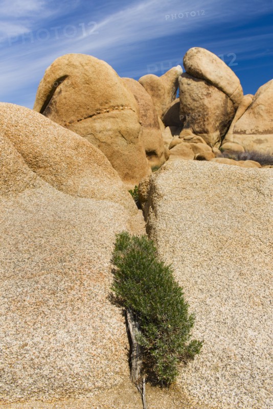 USA, California, Joshua Tree National Park, Rock formations.