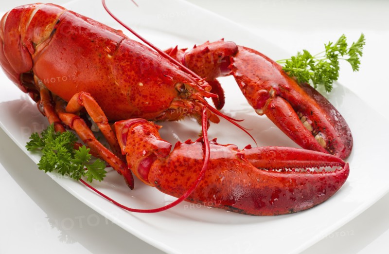 Cooked lobster.