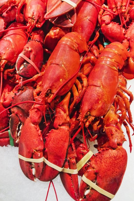 Cooked lobsters.