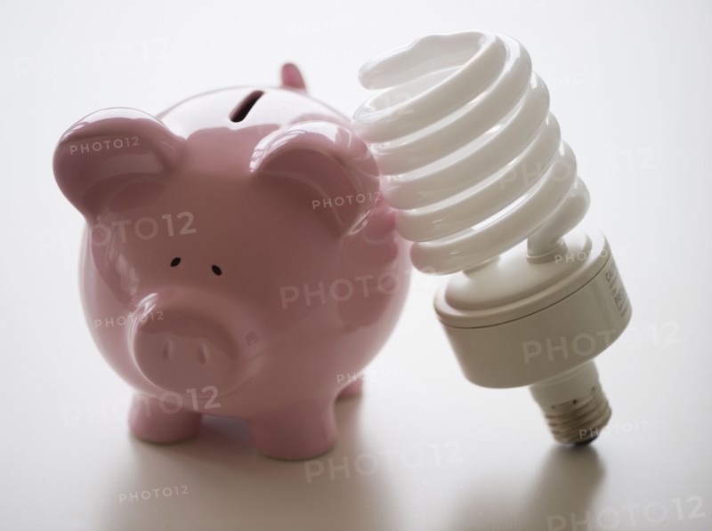 Still life with piggy bank and energy efficient light bulb. 
Photo: Jamie Grill