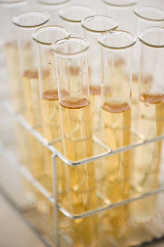 Liquid in test tubes. 
Photo : Jamie Grill