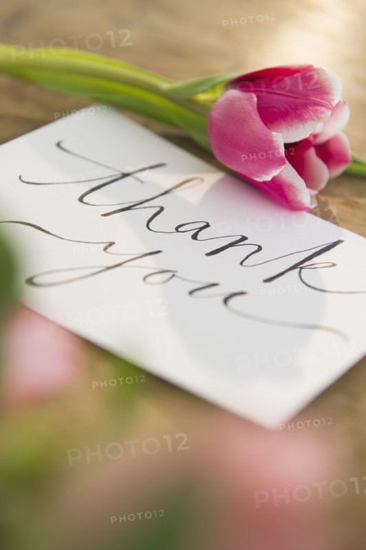 Close-up of greeting card and flower. 
Photo: Jamie Grill