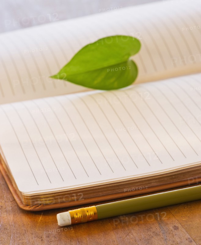 Close up of leaf lying on open notebook, studio shot. 
Photo: Daniel Grill