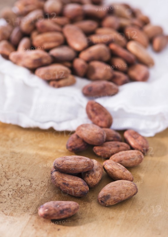 Close up of cocoa beans, studio shot. 
Photo : Daniel Grill