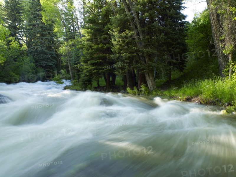 USA, Colorado, Mountain creek in forest. 
Photo : John Kelly