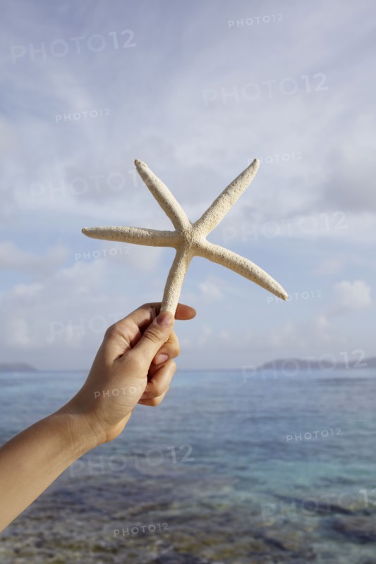 United States Virgin Islands, St. John, Starfish held by female hand. 
Photo: Winslow Productions