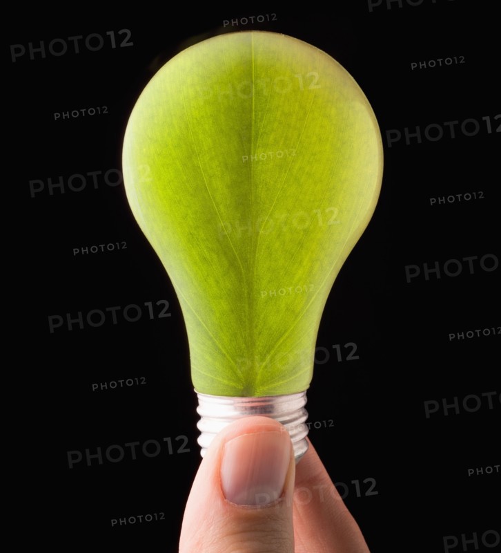 Close-up of light bulb with floral pattern. 
Photo: Mike Kemp