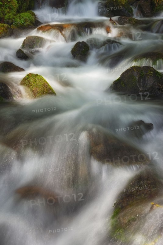 USA, Washington, Hoh Rainforest, Forest creek. 
Photo: Gary Weathers
