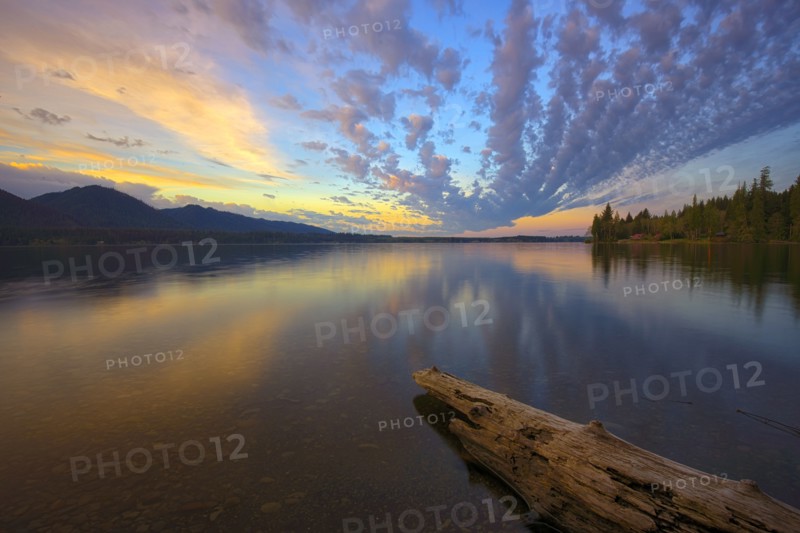 USA, Washington, Lake Quinault at sunset. 
Photo : Gary Weathers