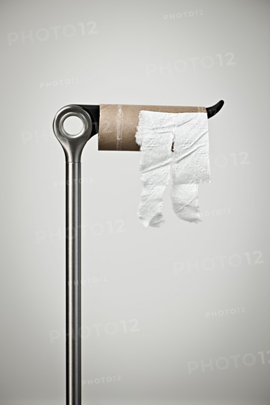 Empty toilet paper roll on holder, studio shot. 
Photo: Elena Elisseeva