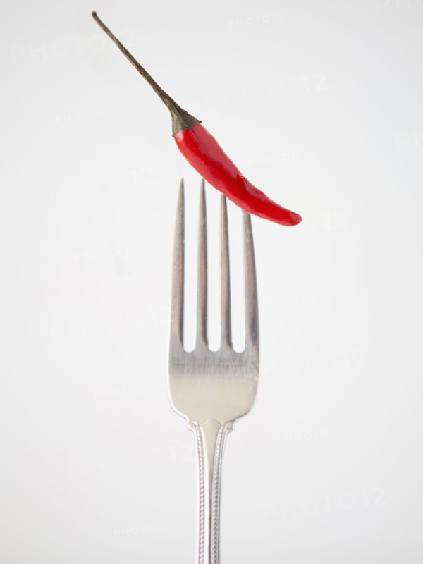 Chilli pepper on fork, studio shot. 
Photo: Jessica Peterson