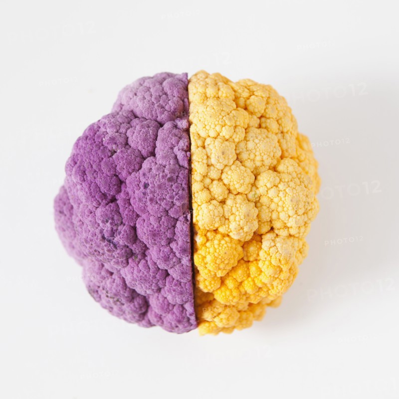Yellow and purple cauliflower, studio shot. 
Photo: Jessica Peterson