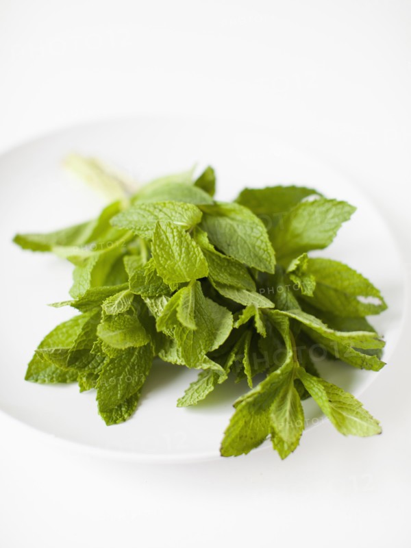 Bunch of mint on plate, studio shot. 
Photo : Jessica Peterson