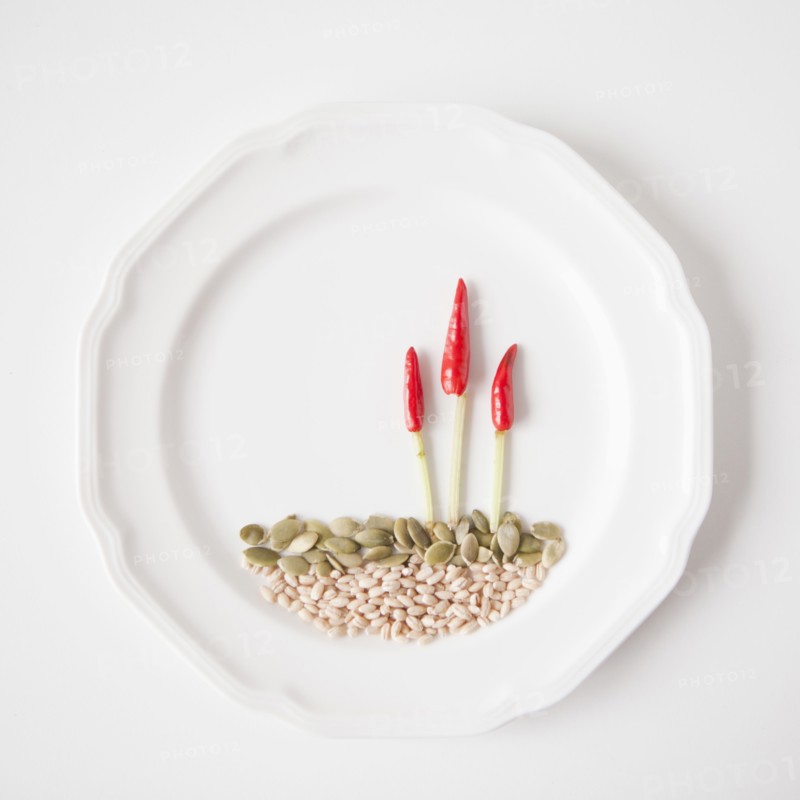 Landscape on plate made out of food, studio shot. 
Photo: Jessica Peterson