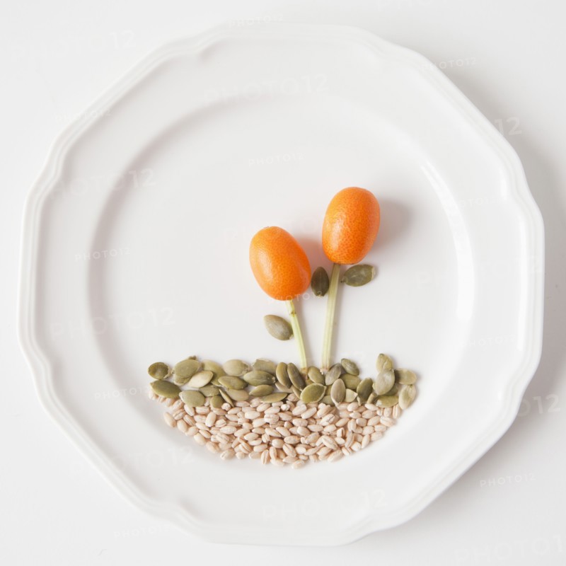 Landscape on plate made out of food, studio shot. 
Photo: Jessica Peterson