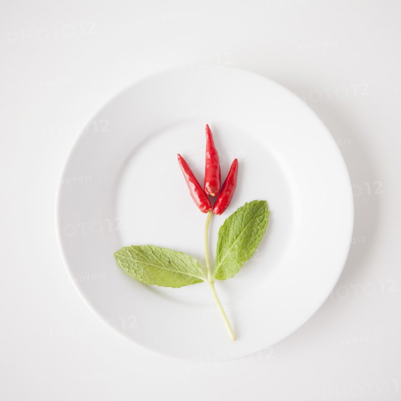 Flower made of food on plate, studio shot. 
Photo: Jessica Peterson