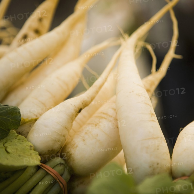 Fresh radish. 
Photo: Jessica Peterson