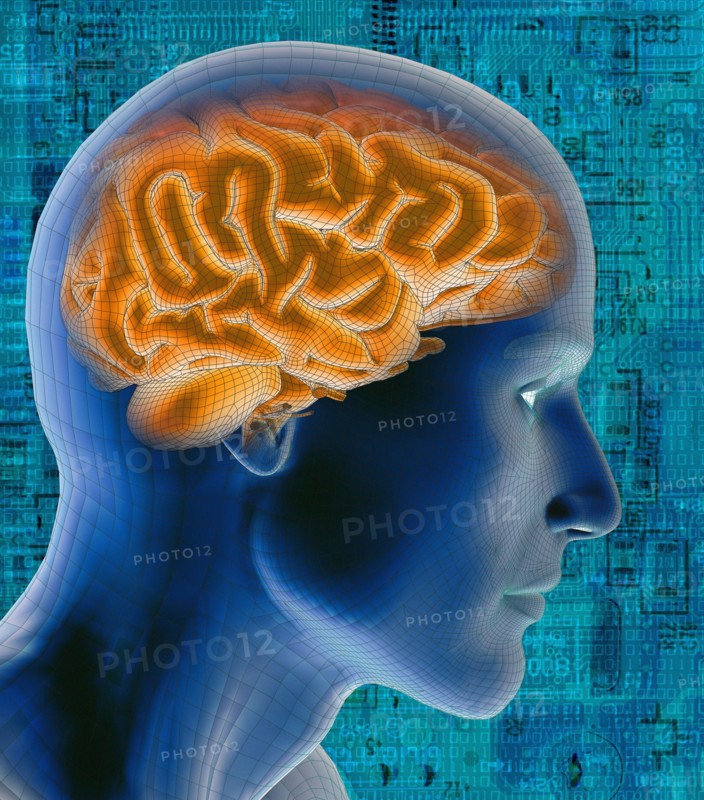 Conceptual image of human brain. 
Photo : Calysta Images
