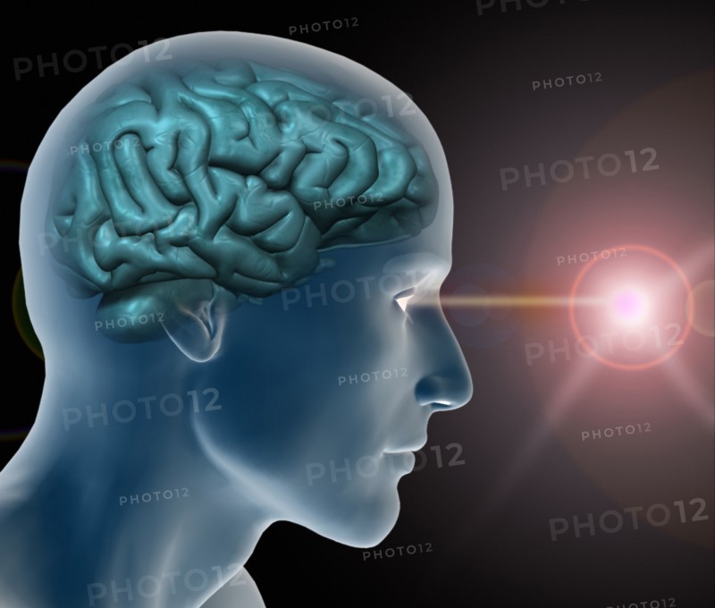 Conceptual image of human brain. 
Photo: Calysta Images