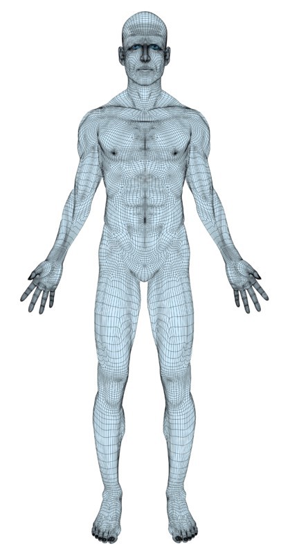 Conceptual image of trans-sexual human body. 
Photo: Calysta Images