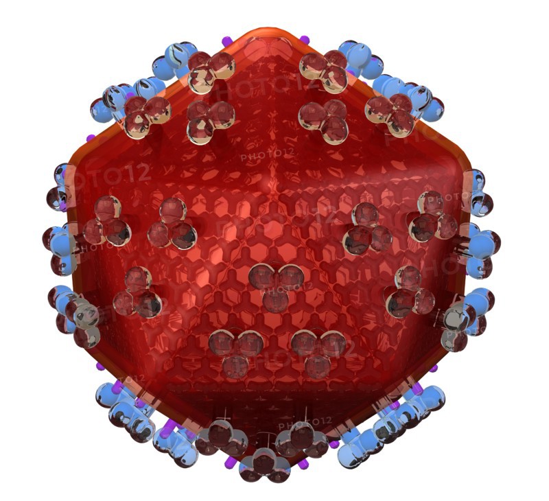 Conceptual image showing human body cell. 
Photo : Calysta Images