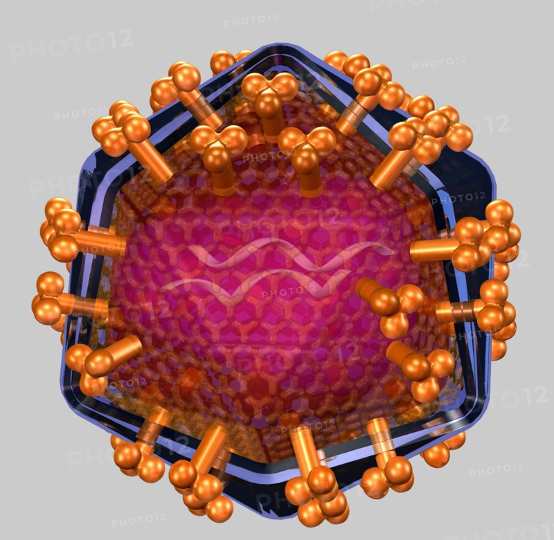 Conceptual image showing human body cell. 
Photo : Calysta Images