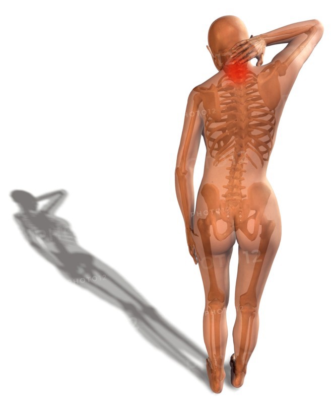 Digitally generated image of human representation with human skeleton visible. 
Photo: Calysta Images