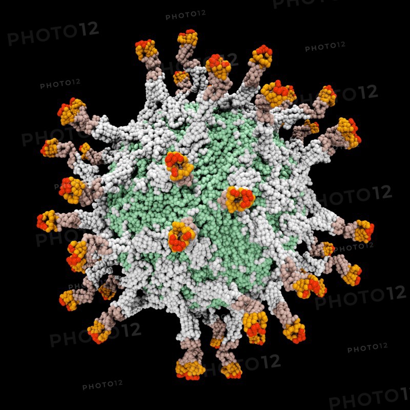 Digitally generated image of 3D molecular model of polio virus. 
Photo: Calysta Images