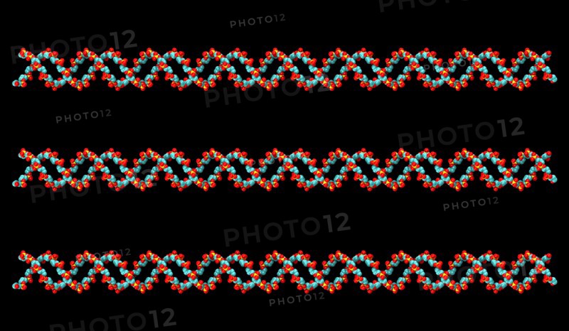Digitally generated image of helix structure. 
Photo : Calysta Images