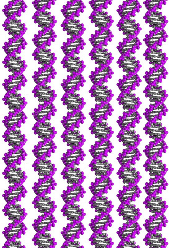 Digitally generated image of helix structure. 
Photo : Calysta Images