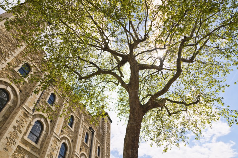 UK, London, Tower of London.