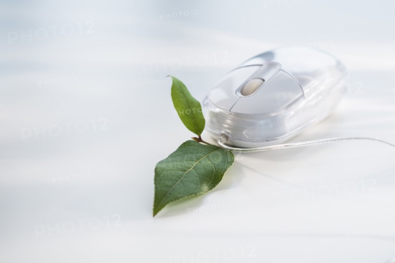 Studio shot of computer mouse with green leaf.