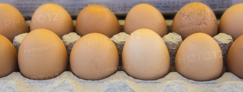 Eggs in box.